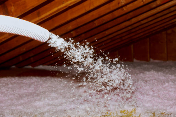 Professional Insulation Contractor in Keller, TX